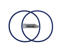 Pool Ruler CLX200K Viton Lot de 2 Joints toriques résistants au Chlore + lubrifiant pour Couvercle d'alimentation Chimique pour chlorinateur de Piscine Hayward CL200 et CL220