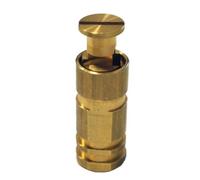POOLCO Piton Douille Escamotable - pour Fixation bâche Couverture de Piscine sur Plage béton ou dallage - Alu/INOX - Unité