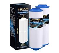 POOLPURE 4CH-949RP Lot de 2 filtres de spa à poignée amovible remplaçant les filtres Pleatco PWW50L, 200702, FIL50-5D13H15FCT-3, Filbur FC-0172, SD-01143, 817-4050 avec distributeur de chlore intégré