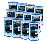 POOLPURE Filtre de Rechange pour Type A ou C pour piscines Hors Sol Intex 29000E/59900E, Easy Set, Summer Escapes ou Summer Waves Lot de 12