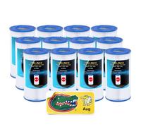 POOLPURE Filtre de rechange pour type A ou C pour piscines hors sol Intex 29000E/59900E, Easy Set, Summer Escapes ou Summer Waves Lot de 12