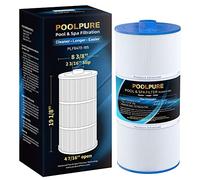 POOLPURE Filtre Spa 6473-165 remplace 6473-165 (Filtre extérieur Uniquement), AK-6473165, UFC-165, Sundance MicroClean Ultra Cartouche de Filtre pour Jacuzzi