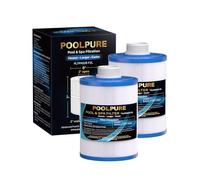 POOLPURE PLFPAS28-F2L Lot de 2 cartouches filtrantes pour spa compatibles avec PAS28, PAS28-F2L, PAS28-F2L-B12, X29-PAS28-F2L, 06-0052-12, 06-0055-12, FC-0309, FC-0312, SD-01330