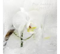 Pop Ambient 2015 : Various Artists -Vinyle