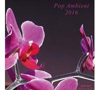 POP AMBIENT 2016 CD NEUF