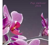 Pop Ambient 2016 by VARIOUS ARTISTS [VINYL] NEUF