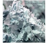 Pop Ambient 2017