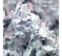 Pop Ambient 2017 / Various by VARIOUS ARTISTS NEUF