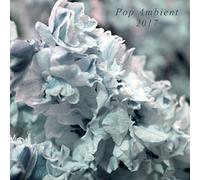 Pop Ambient 2017