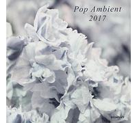 Pop Ambient 2017 [Import Allemand]