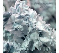 Pop Ambient 2017 / Various by VARIOUS ARTISTS [Audio CD] NEUF