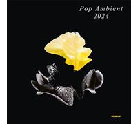 Pop Ambient 2024