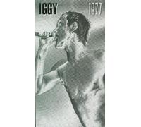 Pop Iggy - 1977 (4 CD Box Set)