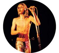 Iggy & The Stooges - More Power - A Gorgeous Picture Disc Vinyl [Vinyl] Picture