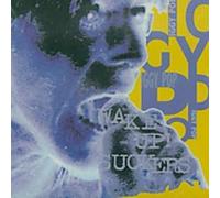 Pop, Iggy - Wake Up Suckers
