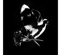 POP SMOKE - SHOOT FOR THE STARS AIM FOR THE MOON CD NEUF