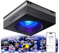 PopBloom RL115 WiFi Éclairage LED Pour Aquarium Récifal 120W, APP Programme Rampe LED Aquarium Eau de Mer Spectre Complet pour Aquarium de Corail, L'APP prend en charge le français