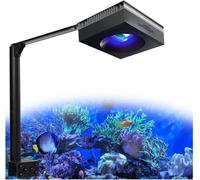 PopBloom RL90 WiFi Rampe LED Aquarium 100W, APP Programme Marine Éclairage à Spectre Complet pour Eau de Mer Aquarium de Corail, L'APP prend en charge le français (1 lampe avec kit de montage)
