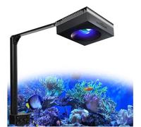 PopBloom RL90 WiFi Rampe LED Aquarium 100W, APP Programme Marine Éclairage à Spectre Complet pour Eau de Mer Aquarium de Corail, L'APP prend en charge le français (1 lampe avec kit de montage)
