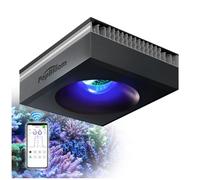 PopBloom RL90 WiFi spectre complet Lumière d'aquarium marine à LED Éclairage LED marin pour aquarium récifal corail (Noir, avec kit de suspension)