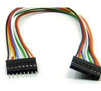 POPESQ® 1 pcs. x Cable Connecteur Femelle - Connecteur Male 2.54mm 8 Voies 20cm DUP254#A3256