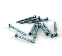 POPESQ® 10 pcs. x Vis 3mm x 25mm pour Plastique #A652