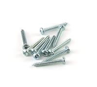 POPESQ® 10 pcs. x Vis Universel 2.9mm x 22mm Cylindrique Pozidriv Acier Zinco #A654
