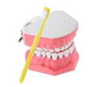 POPETPOP 1 Ensemble Modèle de Bouche Éducatif pour Garçon Fille avec Brosse à Dents Kit Apprentissage Interactif pour Soin Maternelle pour Enseigner les Techniques de Brossage