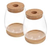 POPETPOP 1 Jeu Micro Paysage Fleur Contenant Verre Terrarium De Bricolage Bouteille Terrarium Vide Conteneur De Paysage De Mousse Conteneur De Plantes Bricolage Micro Flacon Paysage Bambou