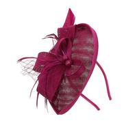 POPETPOP 1 Pièce Diadème Tulle avec Fleurs Plumes Accessoire de Cheveux pour Fêtes et Événements Spéciaux