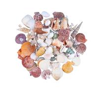 POPETPOP 130 Pièces Décoration Étoilé Coquillages De Plage Non Poreux Décoration Blanche Duveteuse Ornements Marins Pour Fabrication De Bougies