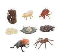 POPETPOP 2 Ensembles Modèles Cycle de Vie Animaux Imitation Réaliste Araignée Cigale Jouets Éducatifs Sciences Garçon Fille Observation Nature