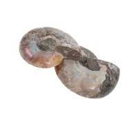 POPETPOP 2 pièces Pendentif Ammonite Naturel Tranche Polie Lune Conque Fossile Unique pour Collectionneurs et Cadeau