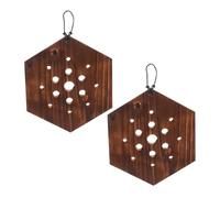 POPETPOP 2 Pièces Planche Murale Hexagonale en Bois Massif pour Orchidées et Fougères Cornes de Cerf Support Vertical Créatif pour Plantes d'Intérieur et Jardin