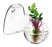 POPETPOP 2 Pièces Support Mural pour Plantes en Verre Borosilicaté, Station de Propagation Suspendue, pour Plantes et Greenery, Usage Intérieur, Décoration Murale, Surveillance des Racines