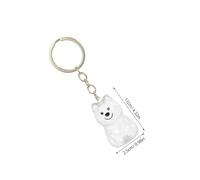 POPETPOP 4 Pièces Porte-clés pour Poils De Chat Boîte Souvenir pour Animaux De Compagnie Rangement pour Poils De Chien Mémoriaux pour