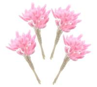 POPETPOP 60 Pièces Herbe de Queue de Lapin Séchée Naturelle pour Décoration Mariage et Arrangements Floraux, Bouquet Rose pour Centre de Table et Ambiance Naturelle