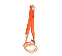 POPETPOP Ceinture De Réhabilitation pour Chiens Âgés Support pour Jambes Arrière Ajustable Accessoire De Rééducation pour Chiens Malades Ou Handicapés