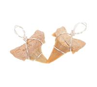 POPETPOP Collier Dent de Requin Décoratif 2pcs Charme Pendentif Préhistorique, Chaîne de Cou pour Hommes, Décor Artisanal Fin pour Présent de Fête