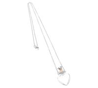 POPETPOP Collier Fiole Huile Essentielle Cœur Transparent Acier Titane Pendentif Parfum Multifonction Femmes Résistant à Usure et Design Élégant