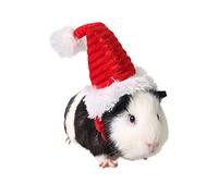 POPETPOP Costume Cochon Dinde - Chat Bonnet de Noel Bonnet de Noel de de Pere Cap Accessoires pour Lapin Hamster Dinde Cochon e