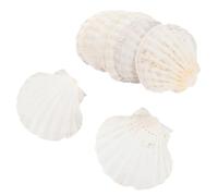 POPETPOP Décoration de Coquillage Noël 10pcs, Assiette Naturelle pour Sushi | Coquille Naturelle Blanche, Décor Banquet et Aquarium, Plateau Délicat pour Succulentes, Usage Alimentaire Sûr