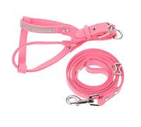 POPETPOP Harnais et Laisse pour Chien Ensemble 2Pcs Harnais Réglable en Microfibre Doux Collier de Traction pour Animaux de Compagnie pour Promenade et Activités Extérieures