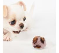 POPETPOP Jouets pour Chats 6 Pièces Balles en Peluche Léopard 5.00Cm Résistantes Morsure Stimule Curiosité Et Activité Physique Interaction Chat