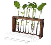 POPETPOP Kit De Jardinière en Tube À Essai Jardinière Murale en Verre avec Terrarium pour Plantes Vase À Fleurs avec Support en Bois