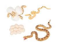 POPETPOP Kit Éducatif Modèle de Cycle de Vie de Serpent Réaliste pour Garçon Fille Cognitif pour Comprendre la Nature et Apprentissage