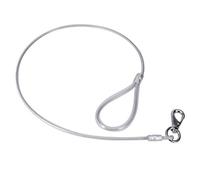 POPETPOP Laisse en fil d'acier enroulée pour animal domestique - Sangle anti-morsure - Corde de traction pour chien - Corde d'escalade - Câble de toilettage pour chien (blanc)