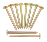 POPETPOP Lot de 10 Clous de Sol pour pelouse, délimitation, marquage des limites de, Outil de Fixation, Piquet de Paysage, Tige en Bois galvanisé, Clous de Mesure en Acier Inoxydable