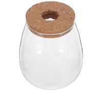 POPETPOP Lot de 2 Vases de Propagation en Verre avec Bouchon en Liège et Base en Bambou, pour Plantes Hydroponiques, Purification de L'air, Décoration Intérieure et Vacances