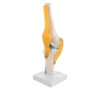 POPETPOP Modèle Anatomique du Genou Fonctionnel 31cm PVC Démontable | Observation en Couches, Structure Réaliste, Démonstration Pédagogique, pour Formation Médicale et Cours